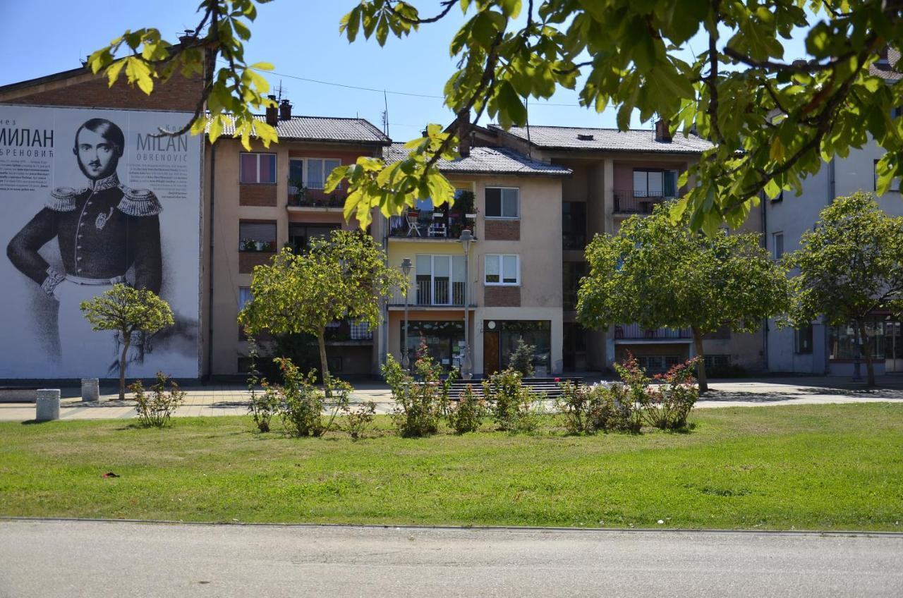 Apartman Terassa Donji Milanovac Exterior foto