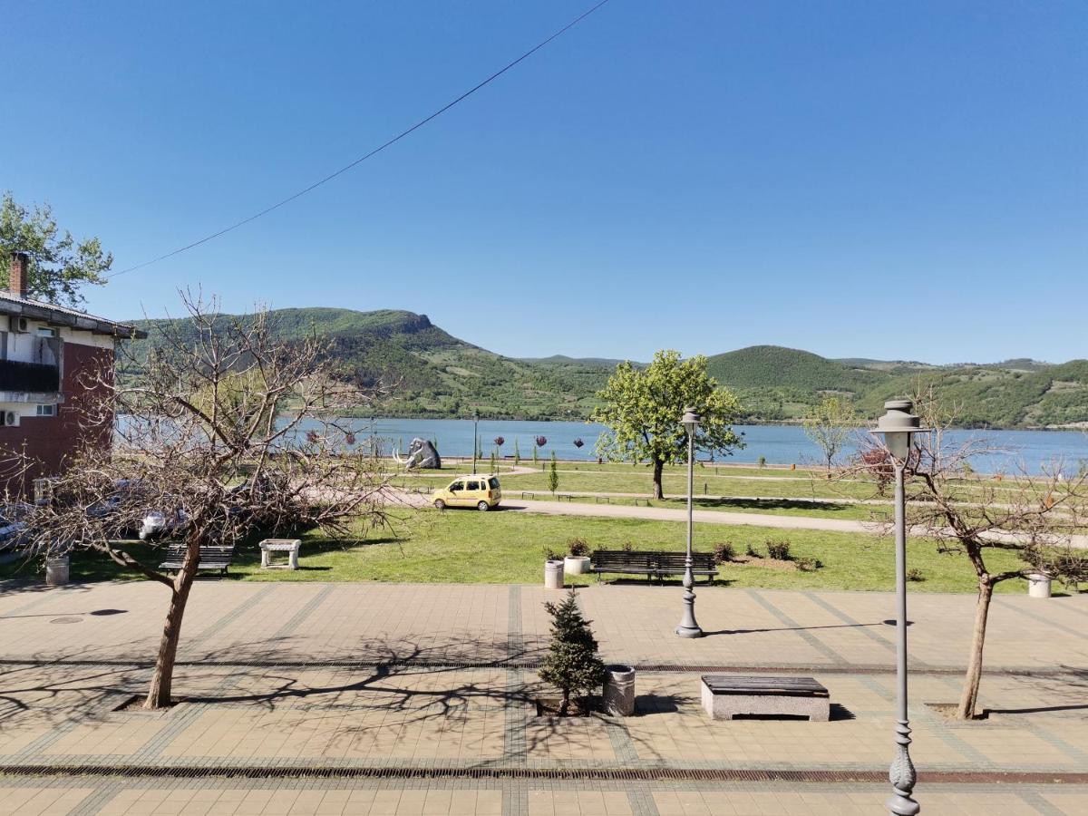 Apartman Terassa Donji Milanovac Exterior foto